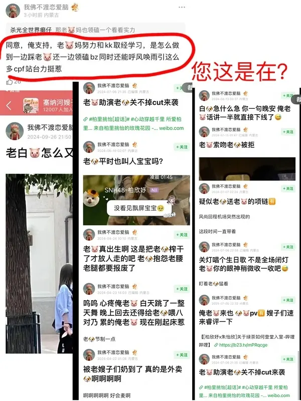 image4.webp
